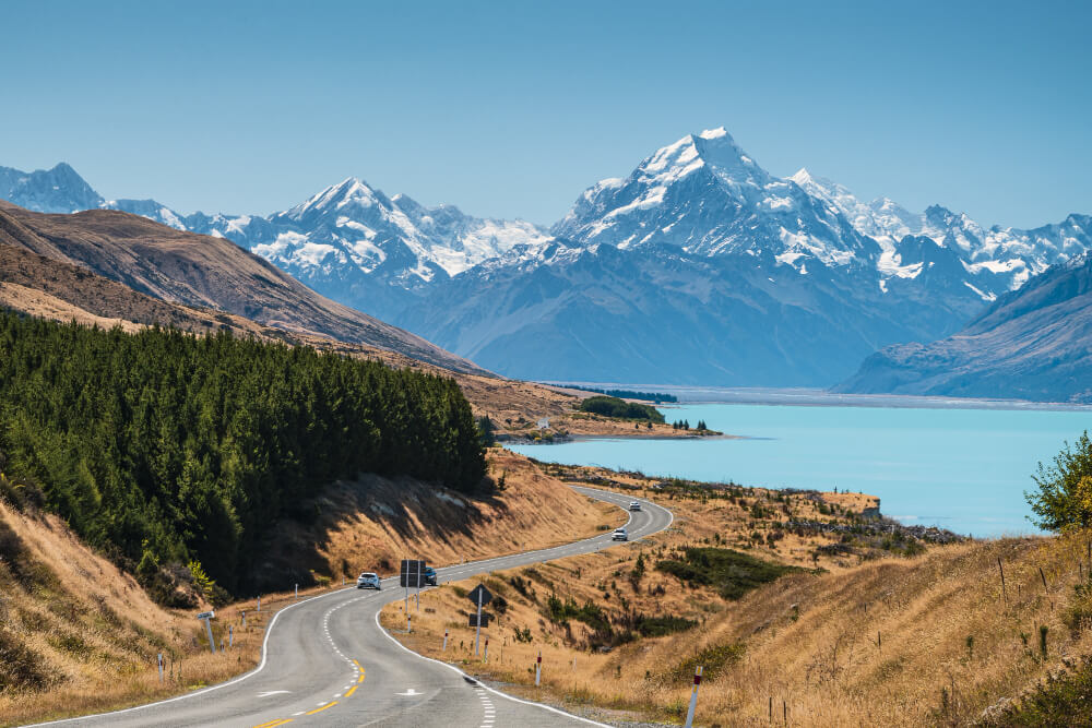 Study in New Zealand from Bangladesh: A Simple Guide for Students
